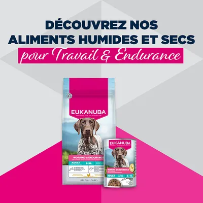 Eukanuba Special Care Adulte Travail et Endurance