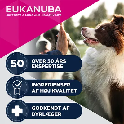 Eukanuba, over 50 års ekspertise, ingredienser af høj kvalitet, godkendt af dyrlæger. Eukanuba, over 50 års ekspertise, ingredienser af høj kvalitet, godkendt af dyrlæger.