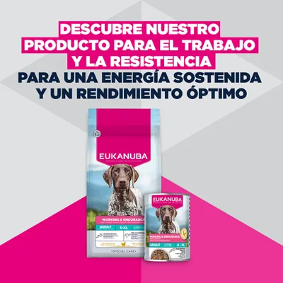 Eukanuba Special Care Working & Endurance Adult