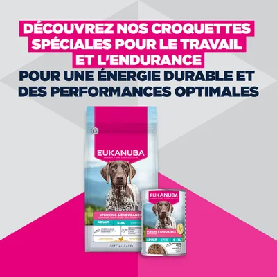 Eukanuba Daily Care Working & Endurance Adult