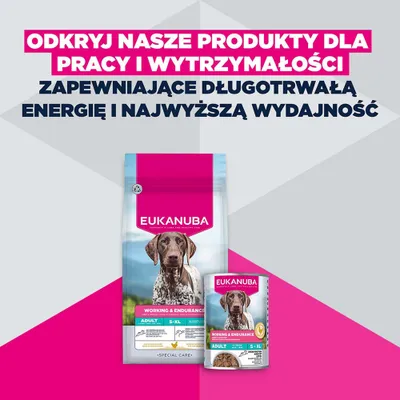Eukanuba Special Care Working & Endurance Adult