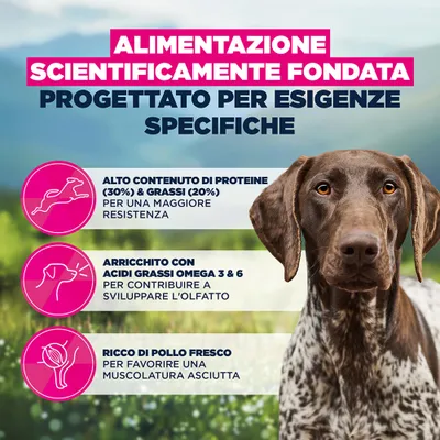 Eukanuba Special Care Working & Endurance Adult