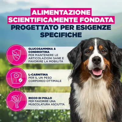 Eukanuba Special Care Sensitive Joints Adult