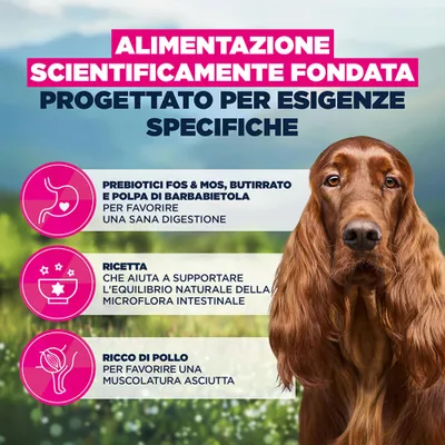 Eukanuba Special Care Adult Sensitive Digestion Eukanuba Special Care Adult Sensitive Digestion