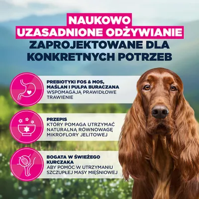 Eukanuba Special Care Sensitive Digestion Adult Eukanuba Special Care Sensitive Digestion Adult