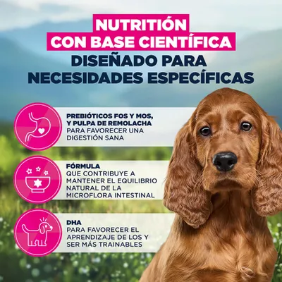 Eukanuba Special Care Sensitive Digestion Puppy con pollo y pavo Eukanuba Special Care Sensitive Digestion Puppy con pollo y pavo