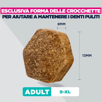 Eukanuba Special Care Mono-Protein Adult con Salmone