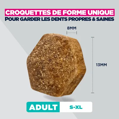 Eukanuba Adult Mono-Protein au saumon