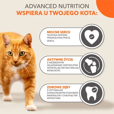 ADVANCED NUTRITION wspiera u twojego kota: mocne serce, aktywne życie, zdrowe zęby. Mocne serce: tauryna wspiera pracę serca. Aktywne życie: składniki odżywcze wspierają mobilność. Zdrowe zęby: minerały i chrupiące krokiety.
