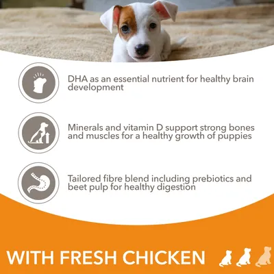 DHA supports healthy brain development, minerals and vitamin D aid strong bones and muscles for puppy growth, tailored fibre blend with prebiotics and beet pulp promotes healthy digestion.