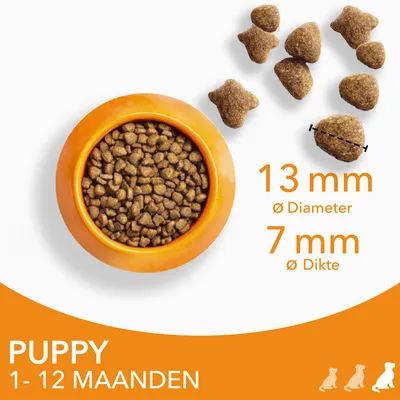 Puppyvoer voor 1–12 maanden, brokjes met diameter 13 mm en dikte 7 mm zichtbaar naast een oranje voerbak gevuld met brokken.