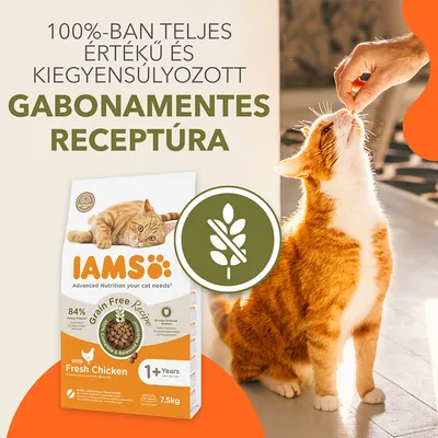 IAMS macskaeledel csomagolás, rajta: 100%-ban teljes értékű és kiegyensúlyozott gabonamentes receptúra. Friss csirkehús, 1+ év, 7,5 kg. Macska jutalomfalatot kap.
