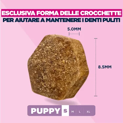 Eukanuba Premium Nutrition Puppy Small Breed Pollo