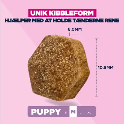 Eukanuba Premium Nutrition Puppy Medium Breed Kylling