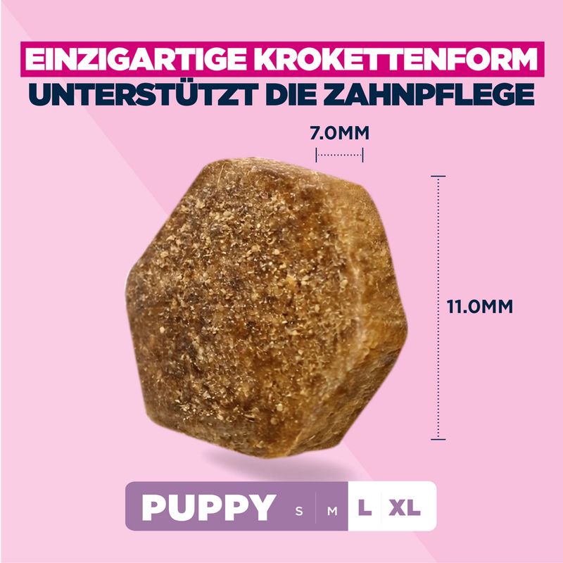 Eukanuba Premium Nutrition Puppy Large & Giant Breed Huhn