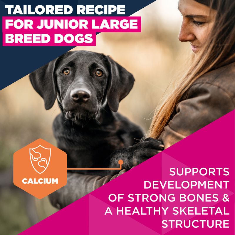 Eukanuba Premium Nutrition Junior Large & Giant Breed kana