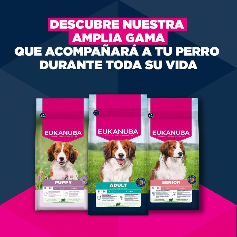 Eukanuba Premium Nutrition Senior Large & Giant Breed cordero y arroz