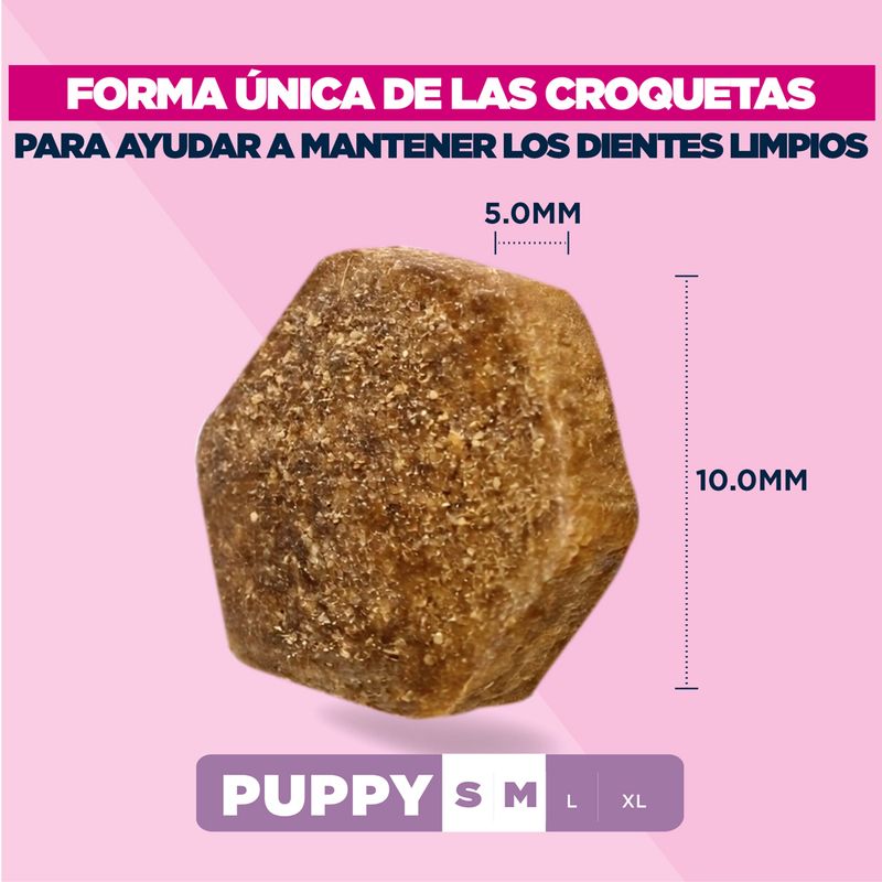 Eukanuba Premium Nutrition Senior Large & Giant Breed cordero y arroz