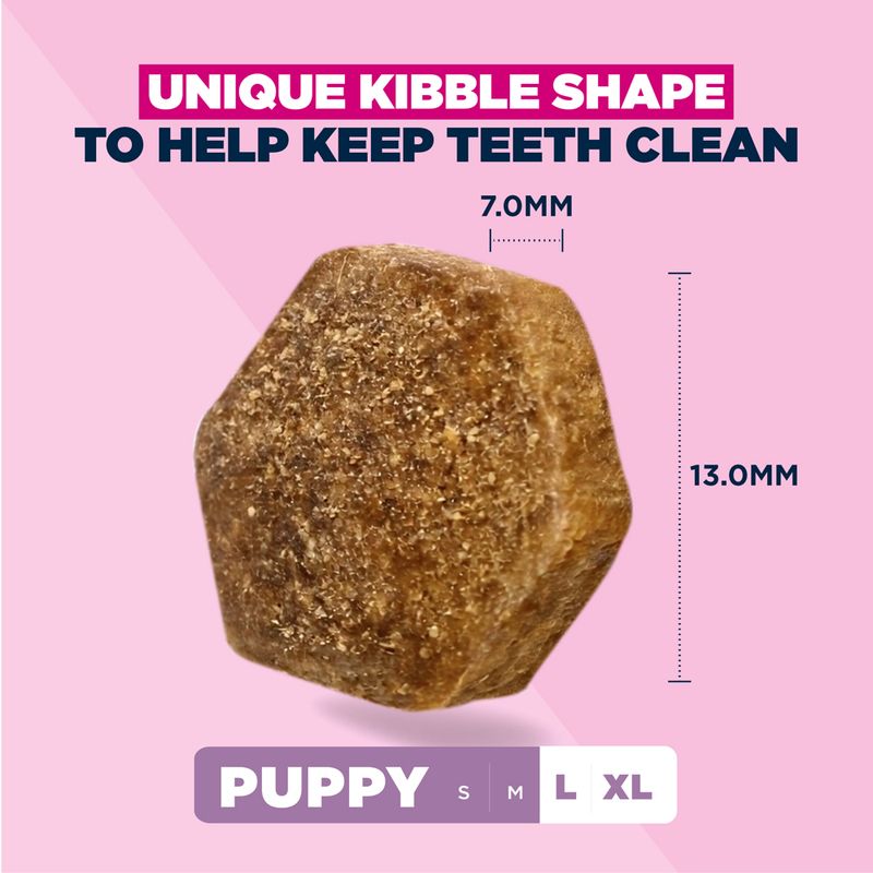 Eukanuba Premium Nutrition Puppy Large & Giant Breed karitsa & riisi