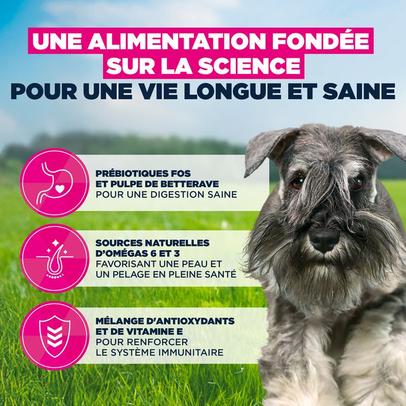 Eukanuba Premium Nutrition Adult Small Breed au poulet