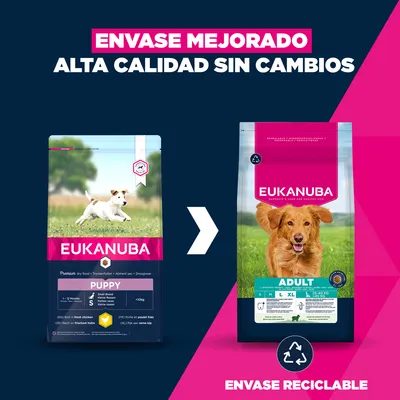 Eukanuba Premium Nutrition Adult Large & Giant Breed cordero y arroz