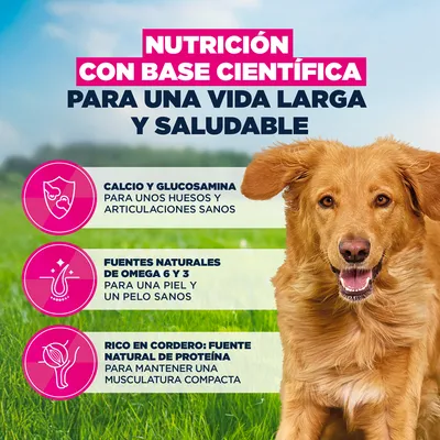 Eukanuba Premium Nutrition Adult Large & Giant Breed cordero y arroz