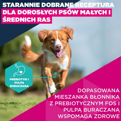 Eukanuba Premium Nutrition Adult Small & Medium Breed, łosoś