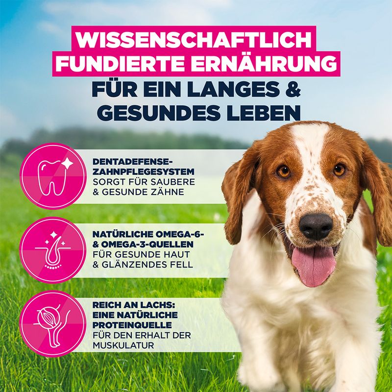 Eukanuba Premium Nutrition Adult Small & Medium Breed Lachs