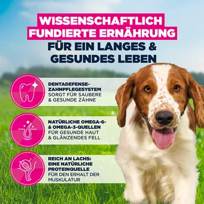 Eukanuba Premium Nutrition Adult Small & Medium Breed Lachs