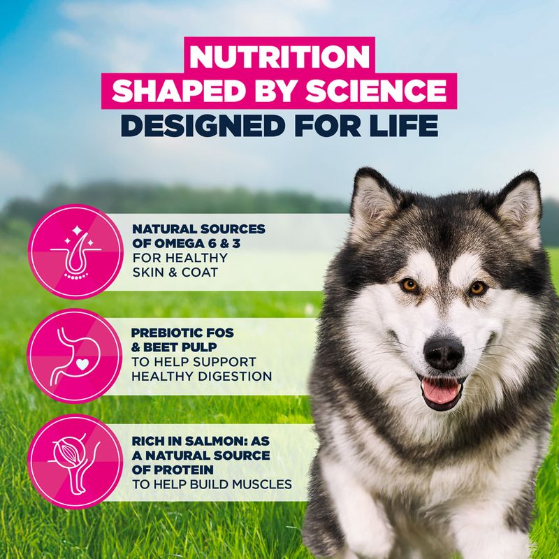 Eukanuba Premium Nutrition Adult Large & Giant Breed Salmon