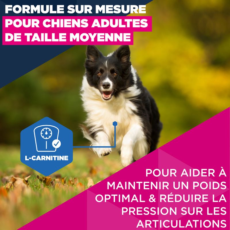 Eukanuba Premium Nutrition Mature Medium Breed au poulet pour chien