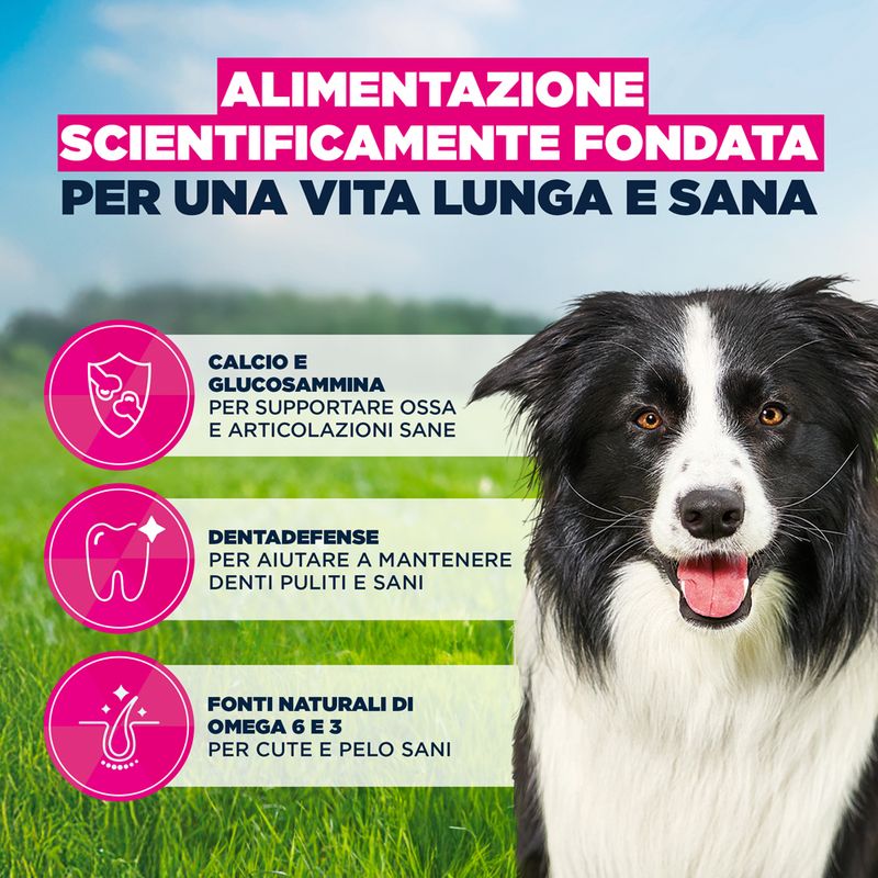 Eukanuba Premium Nutrition Mature Medium Breed Pollo