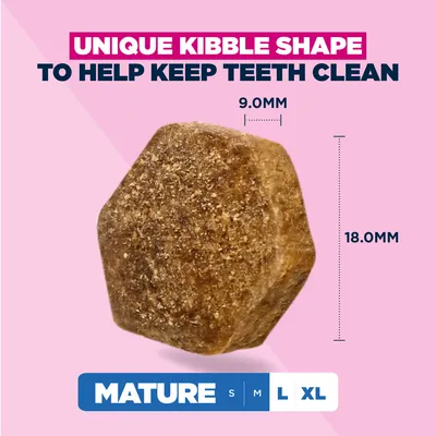 Eukanuba Premium Nutrition Mature Large & Giant Breed kana