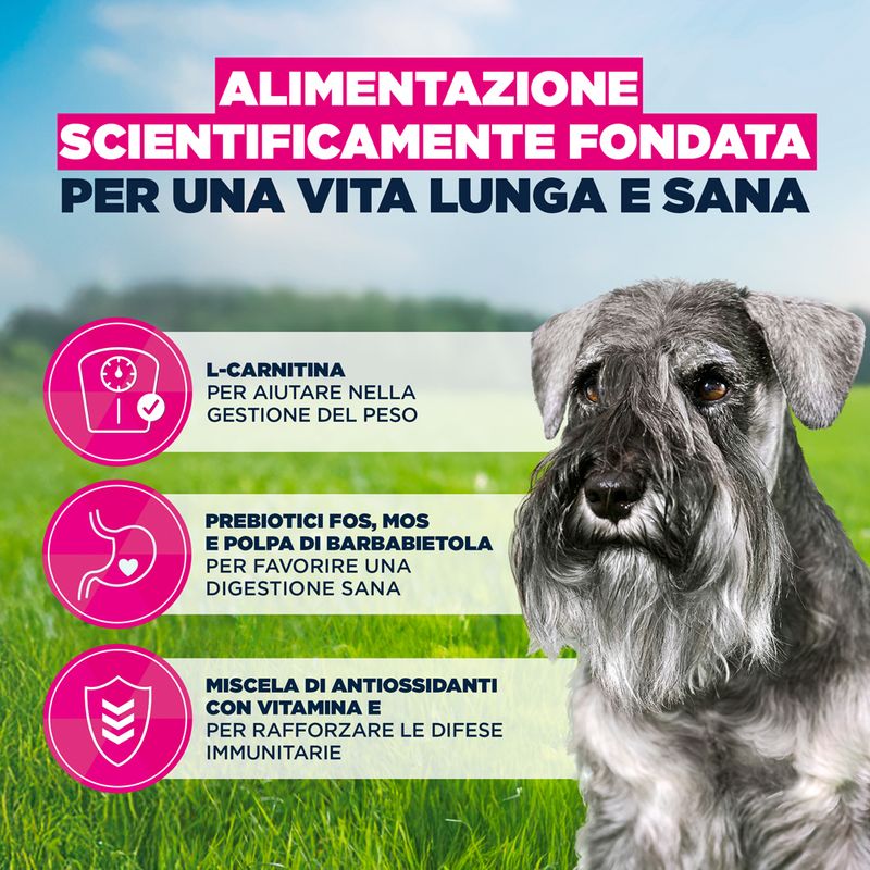 Eukanuba Premium Nutrition Senior Small Breed Pollo