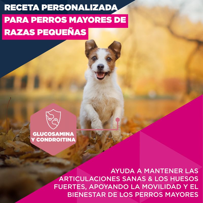 Eukanuba Premium Nutrition Senior Small Breed pollo