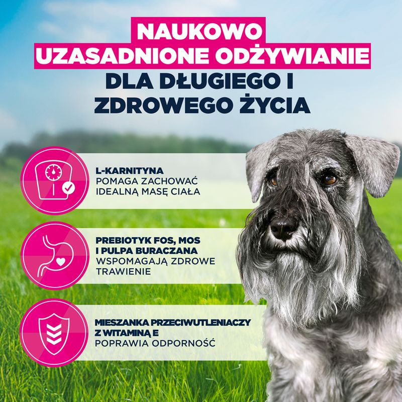 Eukanuba Premium Nutrition Senior Small Breed, kurczak