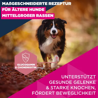 Eukanuba Premium Nutrition Senior Medium Breed Huhn