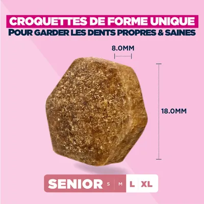 Eukanuba Premium Nutrition Senior Large et Giant Breed au poulet