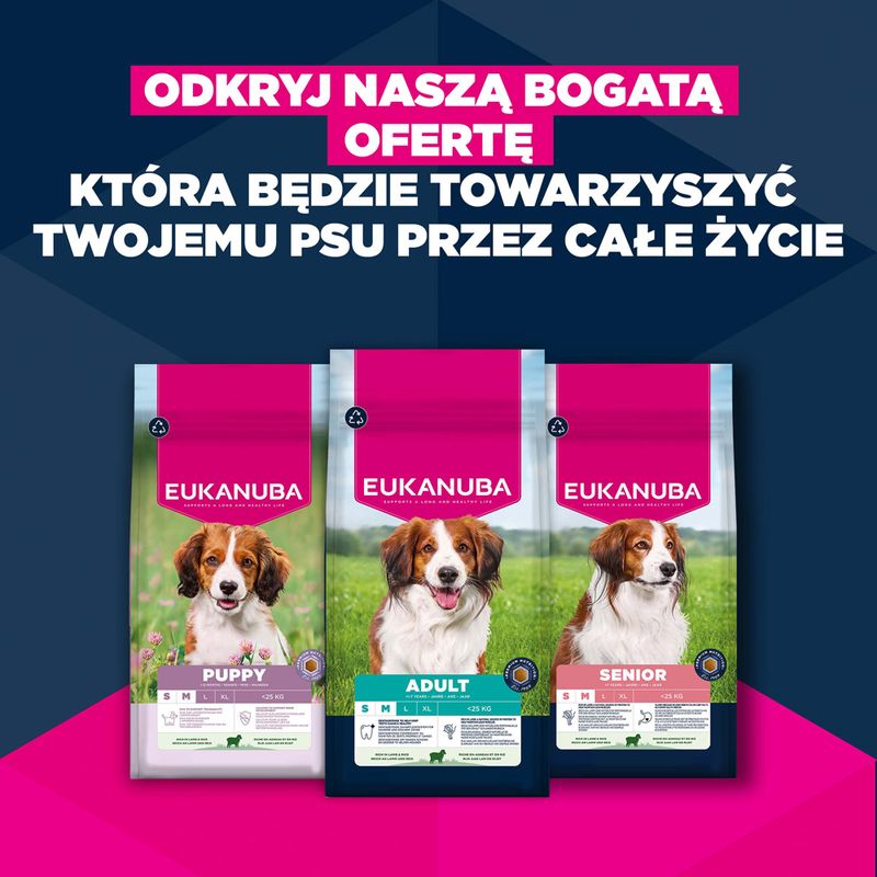 Eukanuba Premium Nutrition Senior Small & Medium Breed, jagnięcina i ryż