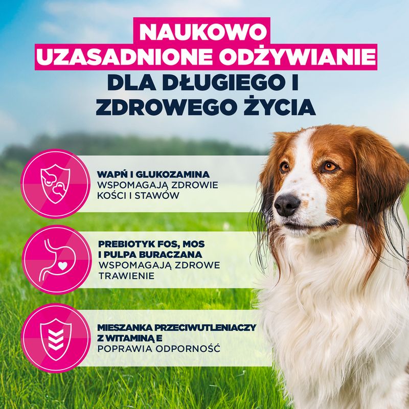 Eukanuba Premium Nutrition Senior Small & Medium Breed, jagnięcina i ryż