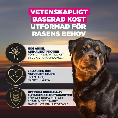 Vetenskapligt baserad näring, hög mängd animaliskt protein, L-karnitin och taurin för hjärthälsa, E-vitamin och betakaroten för immunförsvaret. Vetenskapligt baserad näring, hög mängd animaliskt protein, L-karnitin och taurin för hjärthälsa, E-vitamin och betakaroten för immunförsvaret.