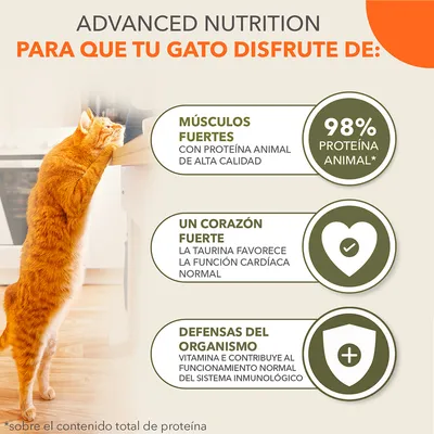 ADVANCED NUTRITION para que tu gato disfrute de: músculos fuertes con proteína animal de alta calidad, 98% proteína animal, un corazón fuerte, defensas del organismo.