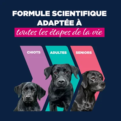 Eukanuba Puppy riche en dinde et carottes