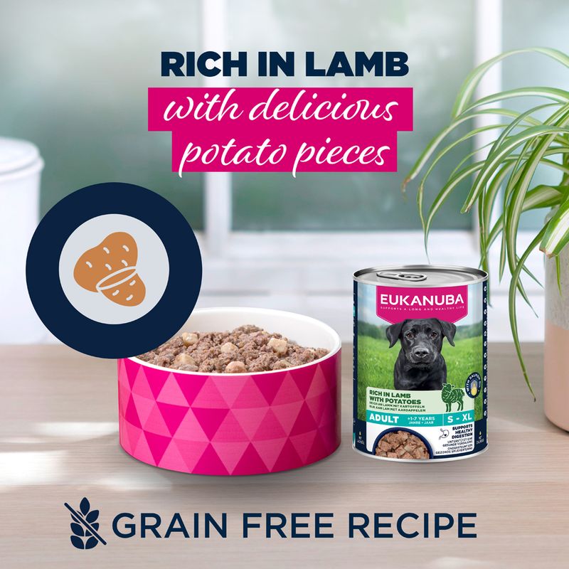 Eukanuba Adult Rich in Lamb with Potatoes