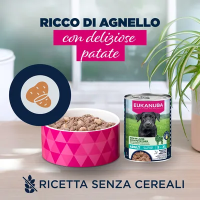 Eukanuba Adult Ricco di Agnello con Patate