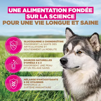 Eukanuba Grain Free Senior Large & Giant Poisson de mer