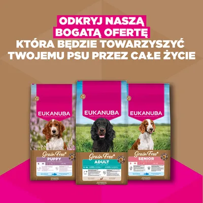 Eukanuba Grain Free Adult, dziczyzna