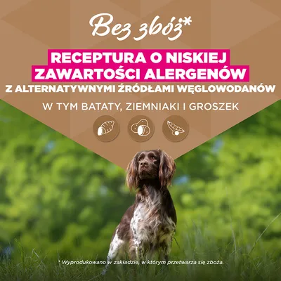 Eukanuba Grain Free Adult, dziczyzna