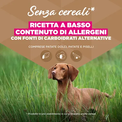 Eukanuba Grain Free Adult Large con Agnello