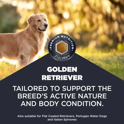 Premium nutrition for Golden Retrievers, tailored to their active nature and body condition. Also suitable for Flat Coated Retrievers, Portuguese Water Dogs, and Italian Spinones. Premium nutrition for Golden Retrievers, tailored to their active nature and body condition. Also suitable for Flat Coated Retrievers, Portuguese Water Dogs, and Italian Spinones.